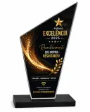 Troféus Acrílico Cristal 2mm (10x18cm) Com Base Preta Impressão em UV 3